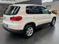 Volkswagen Tiguan 1.4 TSI Plus 122 CV Trend & Fun BlueMotion Technol Wit - thumbnail 8