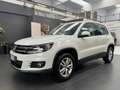 Volkswagen Tiguan 1.4 TSI Plus 122 CV Trend & Fun BlueMotion Technol Wit - thumbnail 3