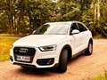 Audi Q3 Q3 2.0 TDI quattro S-line AHK Pano Navi Klima Weiß - thumbnail 3