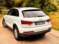 Audi Q3 Q3 2.0 TDI quattro S-line AHK Pano Navi Klima Weiß - thumbnail 5
