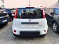 Fiat Panda 1.0 FireFly S&S Hybrid City Life Bianco - thumbnail 5