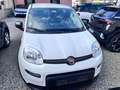 Fiat Panda 1.0 FireFly S&S Hybrid City Life Bianco - thumbnail 2