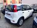Fiat Panda 1.0 FireFly S&S Hybrid City Life Bianco - thumbnail 4