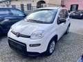 Fiat Panda 1.0 FireFly S&S Hybrid City Life Bianco - thumbnail 3