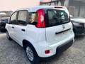 Fiat Panda 1.0 FireFly S&S Hybrid City Life Bianco - thumbnail 6