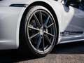 Porsche 911 911 Carrera T (MY24) Gris - thumbnail 12