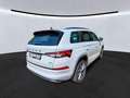 Skoda Kodiaq Sportline 4x4*PANO*360°*STHZG*AHK*CANTON* Grau - thumbnail 2