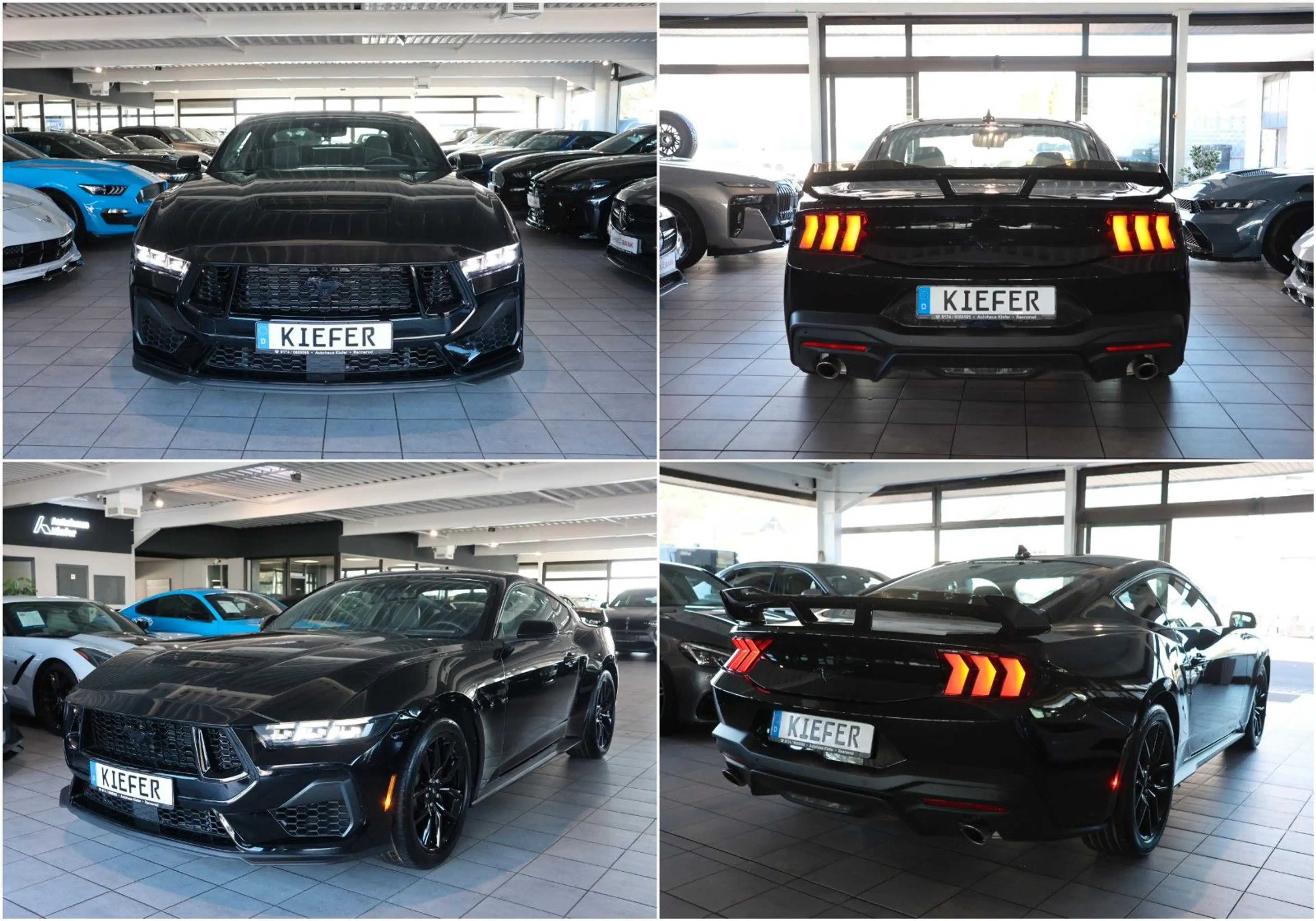 Ford Mustang 2.3/SHZ/CarPlay/KAMERA/TOTW/SPUR/R19 — photo 8