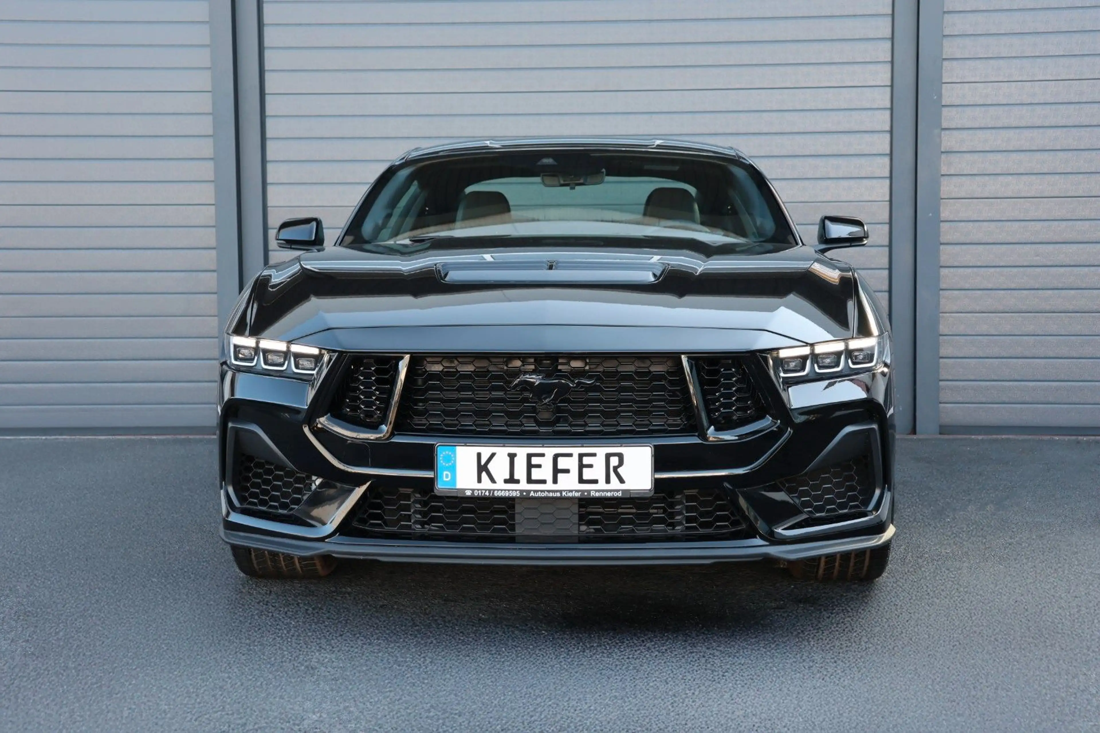 Ford Mustang 2.3/SHZ/CarPlay/KAMERA/TOTW/SPUR/R19 — photo 2