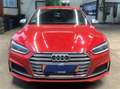 Audi S5 S5 Sportback 3.0 tfsi quattro tiptronic Rosso - thumbnail 4
