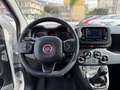 Fiat Panda Panda 1.0 firefly hybrid Cross s - thumbnail 8