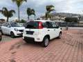 Fiat Panda Panda 1.0 firefly hybrid Cross s - thumbnail 4
