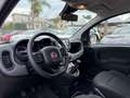 Fiat Panda Panda 1.0 firefly hybrid Cross s - thumbnail 7
