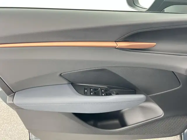 Cupra Terramar view 10