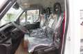 Iveco Daily 35C16 NUOVO Blanco - thumbnail 2