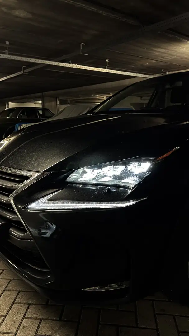 Lexus NX 300h 300h AWD Luxury Line Zwart - 2