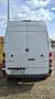 Mercedes-Benz Sprinter 316 2,2 CDI DPF Kühlkastenwagen Euro6 Weiß - thumbnail 8