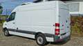 Mercedes-Benz Sprinter 316 2,2 CDI DPF Kühlkastenwagen Euro6 Weiß - thumbnail 7