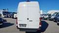 Mercedes-Benz Sprinter 317CDI L3 /L4 *Netto €29.158,-* Weiß - thumbnail 7
