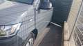 Volkswagen T6.1 Caravelle 110Cv PC 9 POSTI TrendLine - PREZZO REALE! Grigio - thumbnail 4