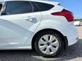 Ford Focus Focus Trend 1,6 TDCi Trend Weiß - thumbnail 8