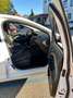 Ford Focus Focus Trend 1,6 TDCi Trend Weiß - thumbnail 17