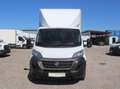 Fiat Ducato Ladebordwand/€ 23.500,-netto/ Koffer Weiß - thumbnail 2