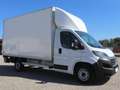 Fiat Ducato Ladebordwand/€ 23.500,-netto/ Koffer Weiß - thumbnail 3