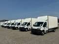 Fiat Ducato Ladebordwand/€ 23.500,-netto/ Koffer Weiß - thumbnail 26