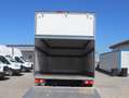 Fiat Ducato Ladebordwand/€ 23.500,-netto/ Koffer Weiß - thumbnail 9