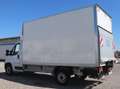 Fiat Ducato Ladebordwand/€ 23.500,-netto/ Koffer Weiß - thumbnail 7
