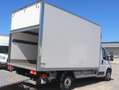Fiat Ducato Ladebordwand/€ 23.500,-netto/ Koffer Weiß - thumbnail 8
