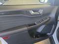 Ford Kuga 2.5 Duratec PHEV ST-LINE Weiß - thumbnail 18