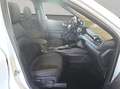 Ford Kuga 2.5 Duratec PHEV ST-LINE Weiß - thumbnail 20