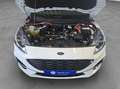 Ford Kuga 2.5 Duratec PHEV ST-LINE Weiß - thumbnail 23