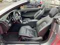 Mercedes-Benz E 220 E 220 CDI BlueEffi *7G-TRONIK*GEPFLEGT*AIRSCARF* Grau - thumbnail 13
