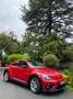 Volkswagen Beetle Beetle 2.0TDI R-Line 110kW R-Line Rojo - thumbnail 1