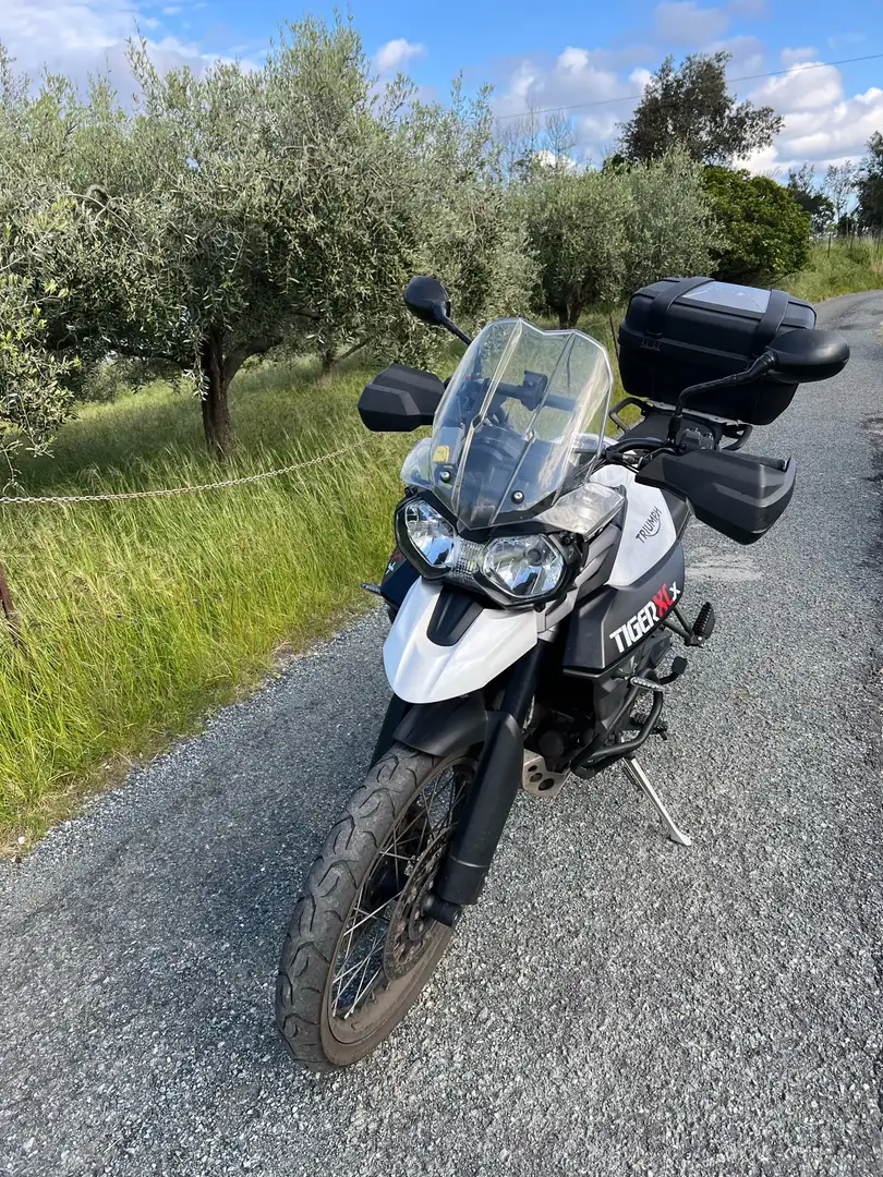 Triumph Tiger 800 xcx - 1