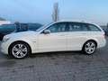 Mercedes-Benz C 200 T CGI  BlueEfficiency Weiß - thumbnail 13
