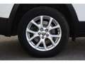 Jeep Cherokee CHEROKEE 2.0 Multijet 140cv  4x4 Longitude Busines Білий - thumbnail 33