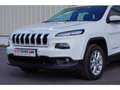 Jeep Cherokee CHEROKEE 2.0 Multijet 140cv  4x4 Longitude Busines Білий - thumbnail 31