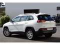 Jeep Cherokee CHEROKEE 2.0 Multijet 140cv  4x4 Longitude Busines Wit - thumbnail 3