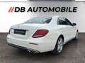 Mercedes-Benz E 350 d Avantgarde *ACC*Lineasist*AHK*360°*Panorama*L... Weiß - thumbnail 5