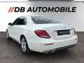 Mercedes-Benz E 350 d Avantgarde *ACC*Lineasist*AHK*360°*Panorama*L... Weiß - thumbnail 7