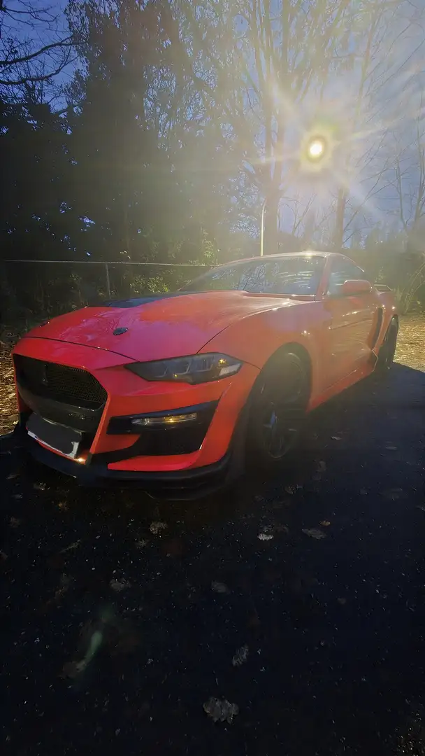 Ford Mustang 2.3 Eco Boost| GT500| Carplay - 1