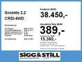 Kia Sorento 2.2 CRDi 4WD Platinum AHK*LED*ACC*4xSHZ*PDC Grijs - thumbnail 4