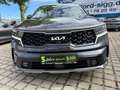 Kia Sorento 2.2 CRDi 4WD Platinum AHK*LED*ACC*4xSHZ*PDC Gris - thumbnail 30
