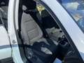 Volkswagen Tiguan Tiguan 1.4 TSI Comfortline BMT Wit - thumbnail 13