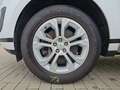 Land Rover Range Rover Evoque P300e S Weiß - thumbnail 10