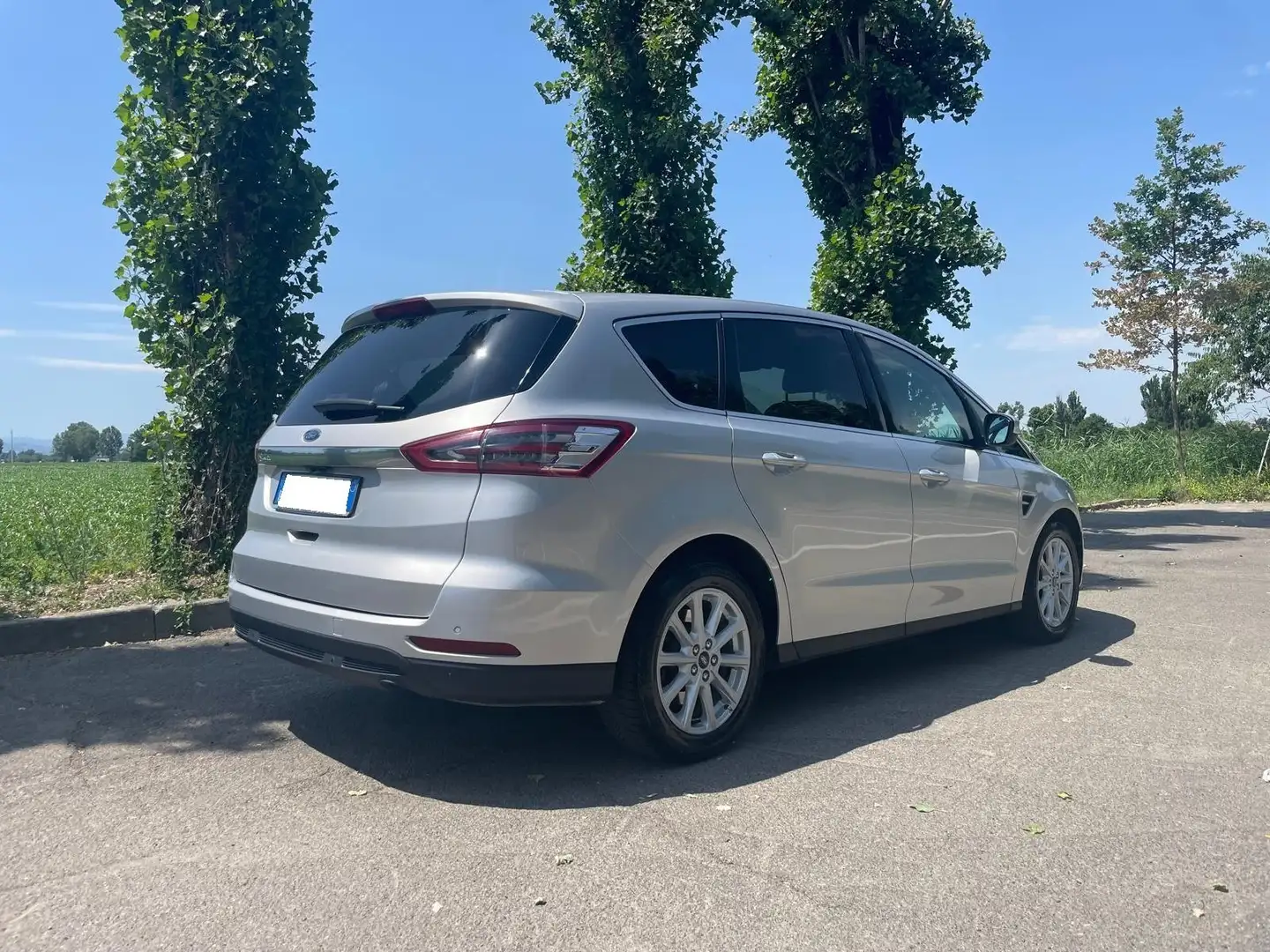 Ford S-Max S-Max II 2.0 tdci Titanium Business s Argento - 2